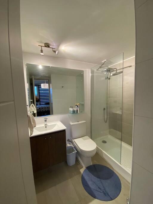 Apartamento Depto Isla Teja Valdivia- Con Acceso A Piscina Valdivia