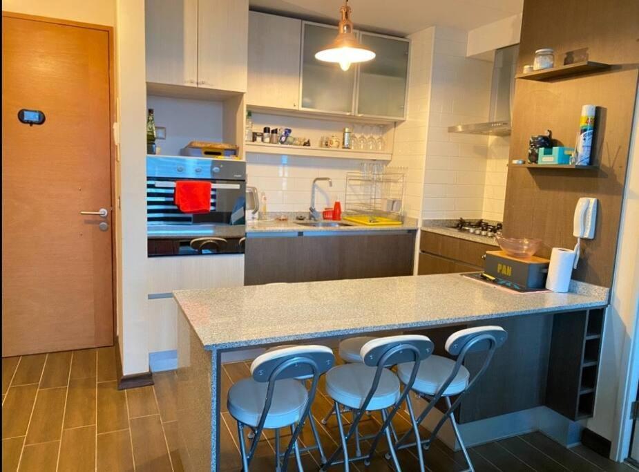 Apartamento Depto Isla Teja Valdivia- Con Acceso A Piscina Valdivia